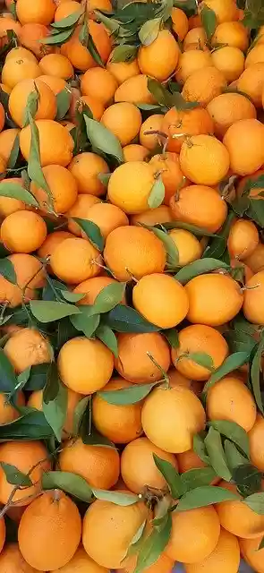Free download Orange Green Juice -  free free photo or picture to be edited with GIMP online image editor