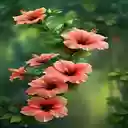 Orange Hibiscus Wallpaper  screen for extension Chrome web store in OffiDocs Chromium