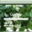 Orange Jessamine  screen for extension Chrome web store in OffiDocs Chromium