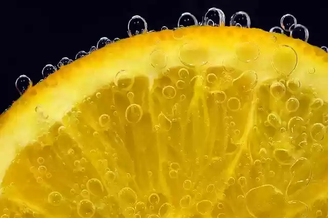 Free download orange orange slices blubber free picture to be edited with GIMP free online image editor