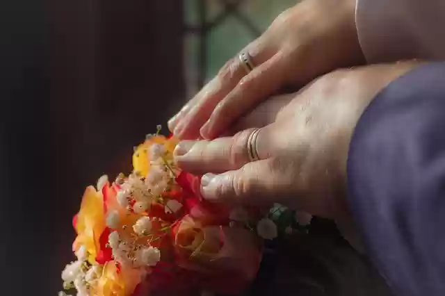 Free download orange ostrich rings to marry free picture to be edited with GIMP free online image editor