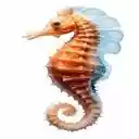 orange seahorse wallpaper  screen for extension Chrome web store in OffiDocs Chromium