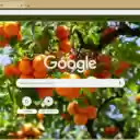 OrangeTree  screen for extension Chrome web store in OffiDocs Chromium