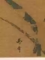 Free download Orchids free photo or picture to be edited with GIMP online image editor