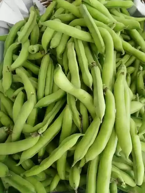 Free download Organic Pods Food -  free photo or picture to be edited with GIMP online image editor