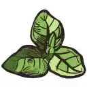 Origano Surf and Earn  screen for extension Chrome web store in OffiDocs Chromium