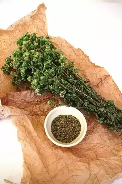 Free download Origan Plants Grass -  free photo or picture to be edited with GIMP online image editor