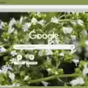 Origanum  screen for extension Chrome web store in OffiDocs Chromium