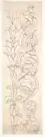 Free download Ornamental drawings (recto) blank (verso) free photo or picture to be edited with GIMP online image editor
