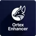 ORTEX Enhancer  screen for extension Chrome web store in OffiDocs Chromium