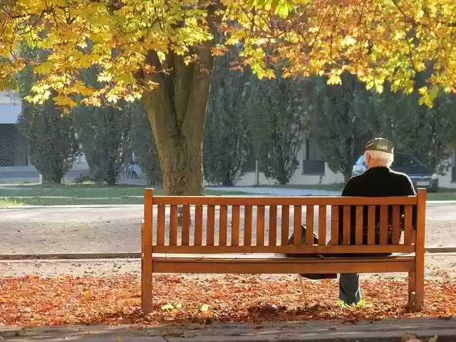 Free download Ostfildern Autumn Lonely -  free photo or picture to be edited with GIMP online image editor