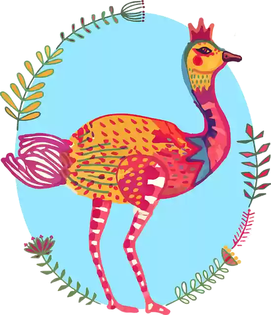 Free download Ostrich Bird Colourful South -  free illustration to be edited with GIMP free online image editor