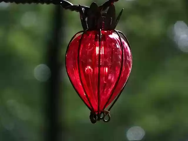 Free download Outdoor Christmas Light Red -  free photo or picture to be edited with GIMP online image editor