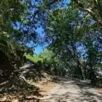 Free download outsidesomewhere free photo or picture to be edited with GIMP online image editor