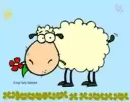 Free download Oveja 1 free photo or picture to be edited with GIMP online image editor