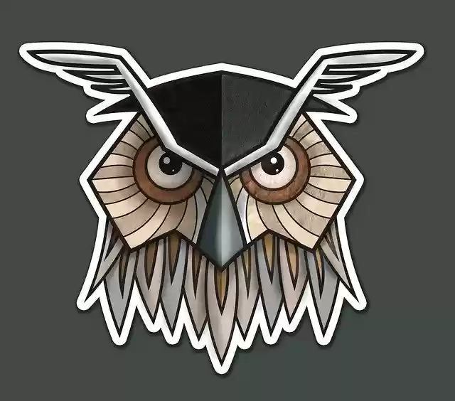 Template Photo Owl Angry Bird for OffiDocs