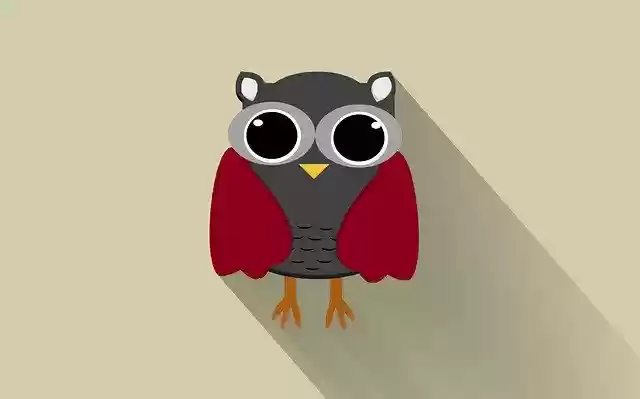 무료 다운로드 Owl Bird Wild - GIMP 무료 온라인 이미지 편집기로 편집할 수 있는 무료 일러스트레이션