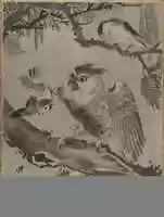 Free download Owl Mocked by Small Birds free photo or picture to be edited with GIMP online image editor