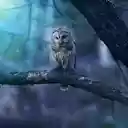 Owl on Branch  screen for extension Chrome web store in OffiDocs Chromium