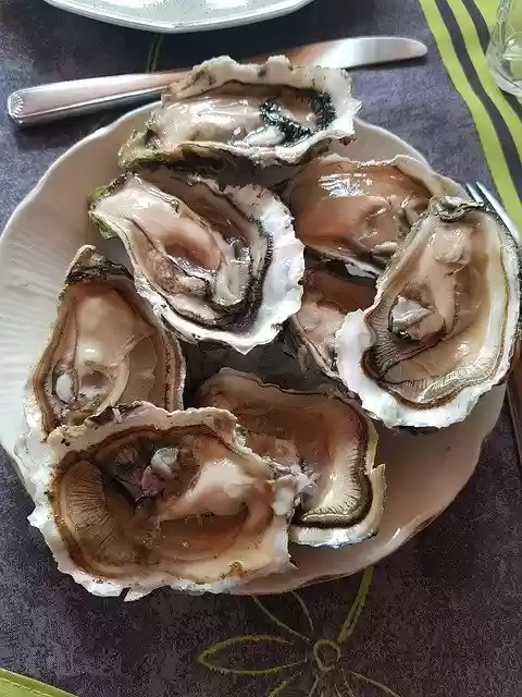 Free download Oysters Seafood Plate -  free photo or picture to be edited with GIMP online image editor