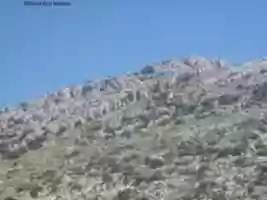 Free download P 1020382 free photo or picture to be edited with GIMP online image editor