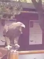 Free download P 1030267 free photo or picture to be edited with GIMP online image editor