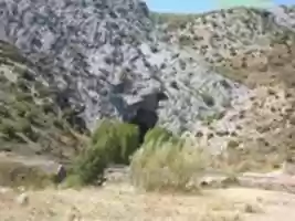 Free download P 1030329 free photo or picture to be edited with GIMP online image editor