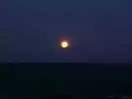 Free download P 1030648 free photo or picture to be edited with GIMP online image editor