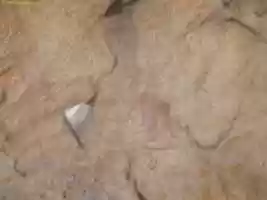 Free download P 1040720 free photo or picture to be edited with GIMP online image editor