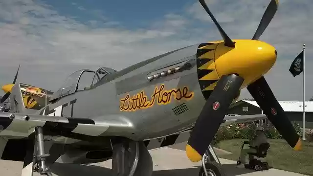 Free download P-51 Airplane -  free free photo or picture to be edited with GIMP online image editor