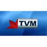 Free download pack-4 free photo or picture to be edited with GIMP online image editor