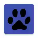 PageAPatte custom start page  screen for extension Chrome web store in OffiDocs Chromium