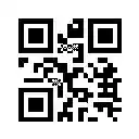 Page to QR Code  screen for extension Chrome web store in OffiDocs Chromium