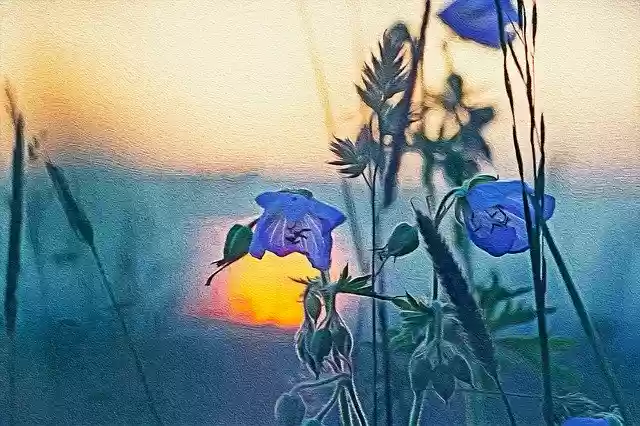 Free download Painting Sunset Flowers -  free illustration to be edited with GIMP free online image editor
