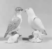 Free download Pair of parakeets free photo or picture to be edited with GIMP online image editor