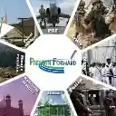 Pakistan Forward  screen for extension Chrome web store in OffiDocs Chromium