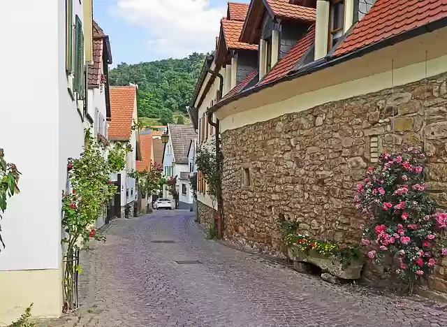 Free download palatinate free picture to be edited with GIMP free online image editor