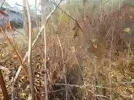 पैलेट इन कैनाल का मुफ्त डाउनलोड करें, मुफ्त फोटो या चित्र जिसे GIMP ऑनलाइन छवि संपादक के साथ संपादित किया जा सकता है