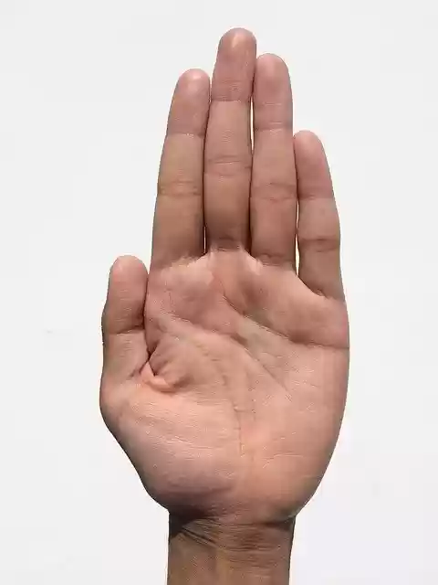 Free download palm hand finger exposed palmistry free picture to be edited with GIMP free online image editor