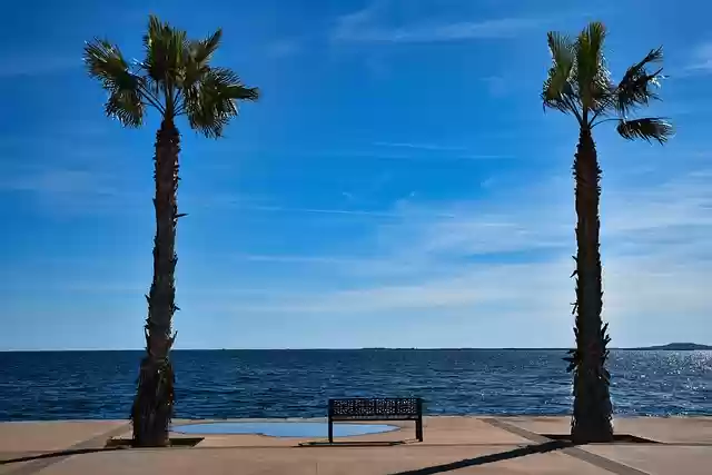 Free download palm trees sea beach sky horizon free picture to be edited with GIMP free online image editor