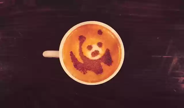 Free download Panda Bear Coffee -  free photo or picture to be edited with GIMP online image editor