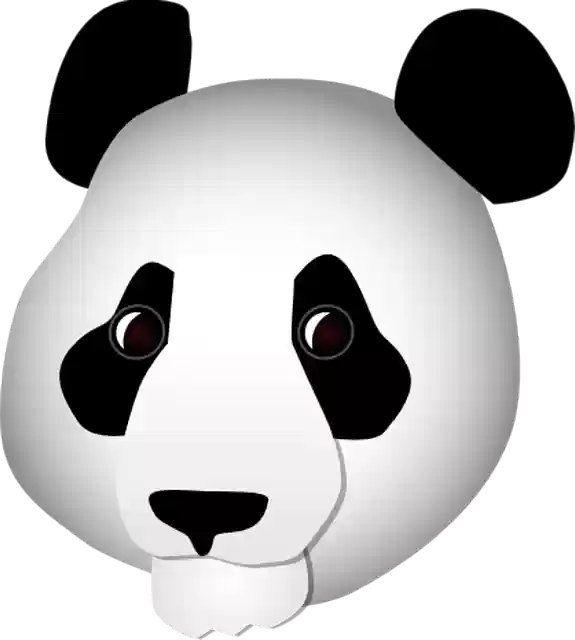 Free download Panda Head Bear -  free illustration to be edited with GIMP free online image editor