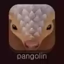 Pangolin VPN  screen for extension Chrome web store in OffiDocs Chromium