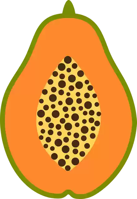 Free download Papaya Fruit Fresh -  free illustration to be edited with GIMP free online image editor