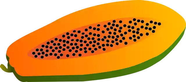 Free download Papaya Fruit Vector -  free illustration to be edited with GIMP free online image editor