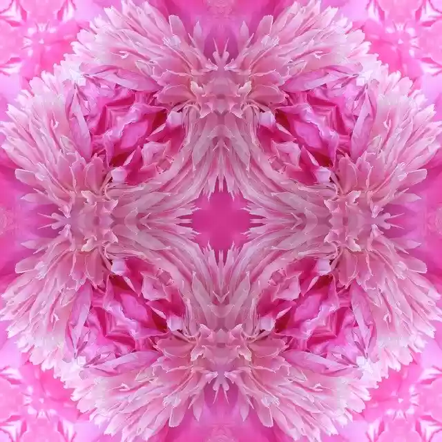 Free download Paper Background Scrapbooking -  free illustration to be edited with GIMP free online image editor