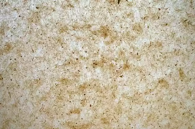 বিনামূল্যে ডাউনলোড করুন পেপার পটভূমি কাঠামো - বিনামূল্যে ছবি বা ছবি GIMP অনলাইন ইমেজ এডিটর দিয়ে সম্পাদনা করা হবে