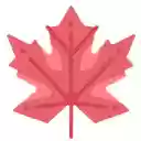 Paper Leaf  screen for extension Chrome web store in OffiDocs Chromium