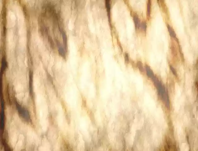 Free download Paper Parchment Old -  free illustration to be edited with GIMP free online image editor