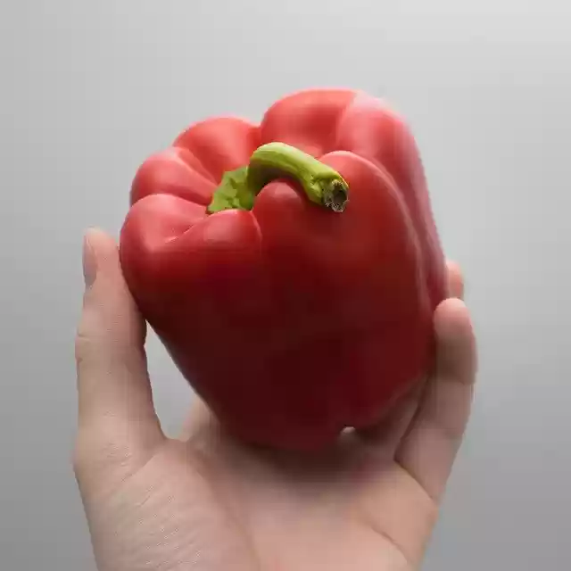 Free download Paprika Vegetables Cook -  free free photo or picture to be edited with GIMP online image editor